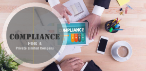 Compliances for Private Limited Company in 2024