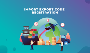 How to Apply IEC (Import Export Code) in India